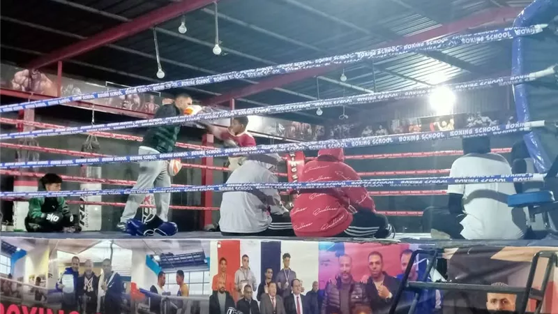 انطلاق فعاليات مشروع البطل الأولمبي بلعبة الملاكمة في مركز شباب فيصل  بالسويس