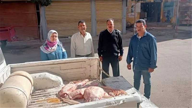«بيطري المنوفية» تضبط ما يقرب من 2 طن لحوم ودواجن غير صالحة للاستهلاك الآدمي