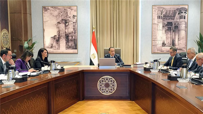 رئيس الوزراء يستعرض الهيكل التنظيمي لوحدة إعادة هيكلة الشركات المملوكة للدولة