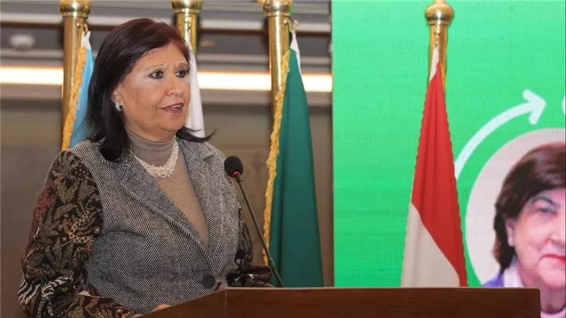 القومي للمرأة يشارك في فعاليات ورشة عمل إقليمية حول 