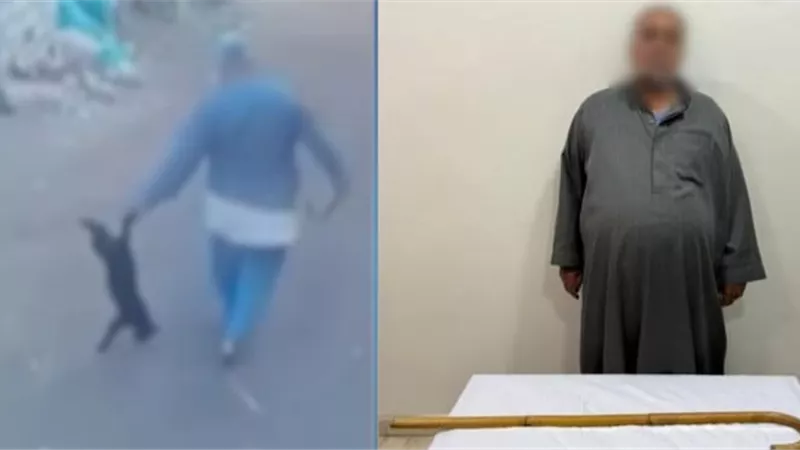 لعبثها بمحتويات منزله.. اعترافات مثيرة للمتهم بالتعدي على قطة بالشرقية