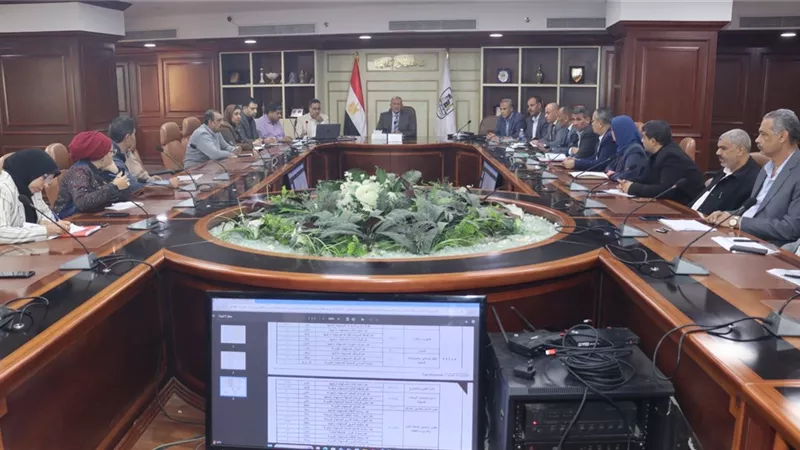 بني سويف تطلق مبادرة حوافز تميز الأداء لتعزيز كفاءة الخدمات الحكومية