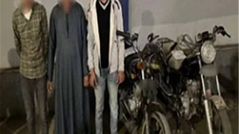 مريض نفسي.. التحريات تكشف هوية المتهم بتعذيب الحيوانات الأليفة
