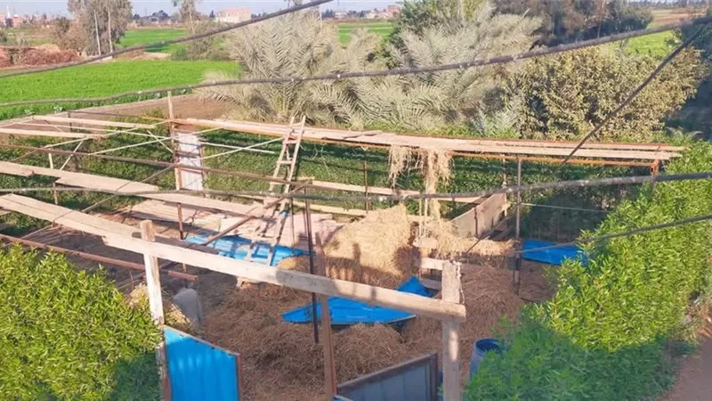 محافظ الشرقية: الحملات مستمرة يوميًا لإزالة المخالفات واسترداد حق الدولة
