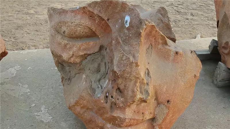 دراسة تركيب وتوقيف تمثال الملك رمسيس الثاني في صان الحجر شرقية| صور