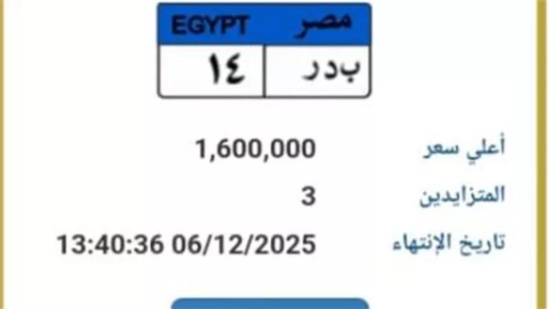 مزاد اللوحات المميزة: 