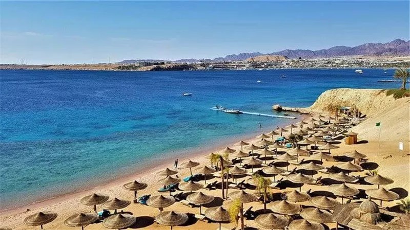  رفع كفاءة البنية التحتية وخدمات الاتصالات بالفنادق والقرى السياحية بالغردقة