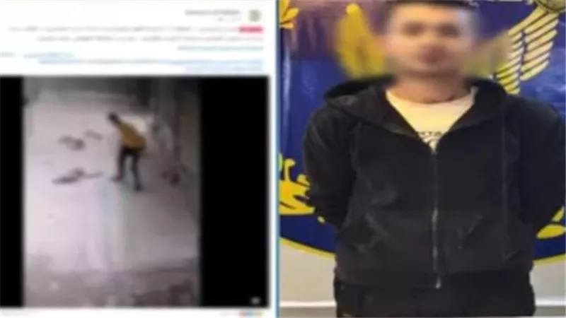 كان بيهاجمني.. التحريات تكشف سبب تعدي شخص على كلب ضال بالسلام