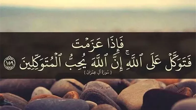 عالم بالأوقاف: التوكل على الله يعلم الإنسان الصبر والثقة بأن الرزق مكتوب