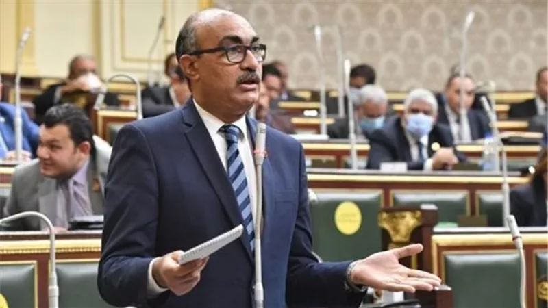 برلماني:قانون ذوى الإعاقة يخص 12 مليون مواطن وغرامات السيارات وصلت 30 ألف جنيه