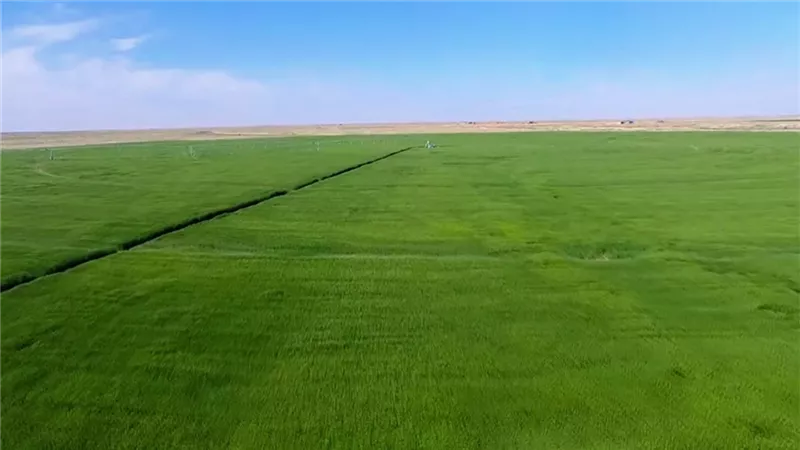 شهادة فخر للدولة المصرية.. لماذا فاز مشروع جنوب الوادي بالجائزة الدولية؟