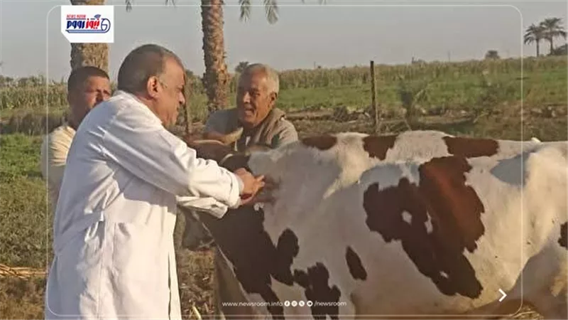 حصاد 2025.. إنجازات قطاع الطب البيطري بمحافظة قنا خلال عام (خاص)
