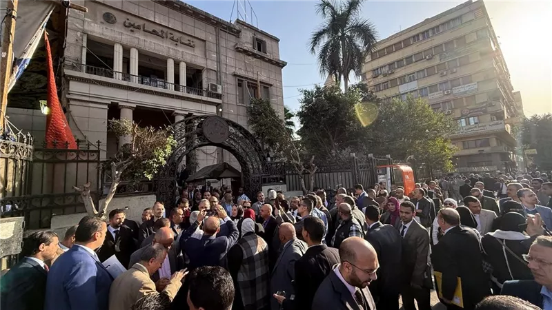 المحامون يستعدون لصناديق الاقتراع.. النقابة تعلن كشوف الناخبين للمرحلة الأولى