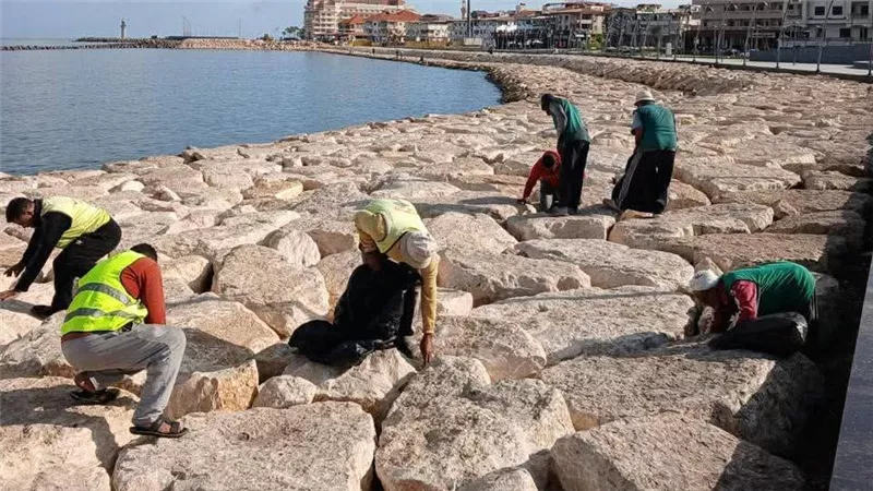 تكثيف جهود نظافة رأس البر تنفيذا لتوصيات لجنة الاصحاح البيئي بالمحافظة