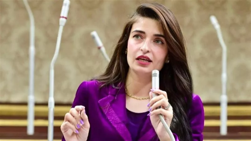بعد زيادة أسعار الكهرباء.. النائبة إيرين سعيد تطالب الحكومة بكشف مبررات القرار