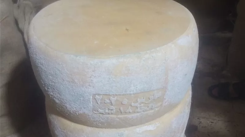 ضبط أكثر من 620 كجم مواد غذائية منتهية الصلاحية خلال حملات رقابية بالبحيرة 