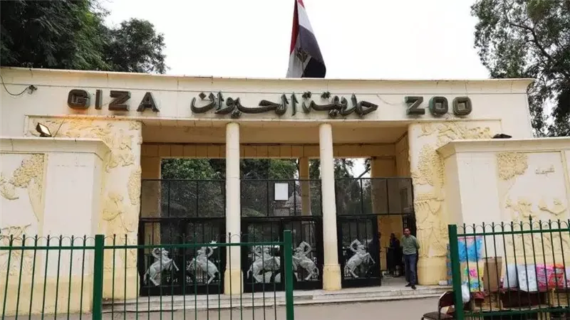 مدير حدائق الحيوان والأسماك ترفع درجة الاستعداد لاستقبال زوار عيد الأضحى