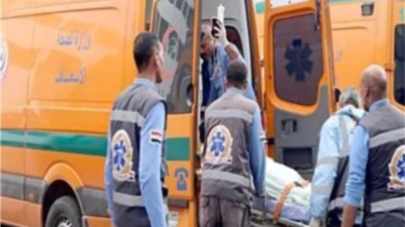 بالأسماء.. إصابة 6  طالبات إثر إصطدام ميكروباص وملاكى بالبحيرة