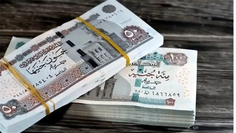 هل هناك زيادة جديدة في الأجور والمعاشات قبل شهر رمضان؟.. برلمانية تشكف مفاجأة
