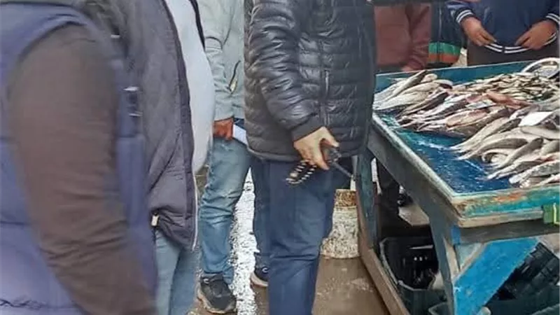 حملة كبرى لرفع الإشغالات وتحسين الانضباط في شوارع مدينة عزبة البرج بدمياط