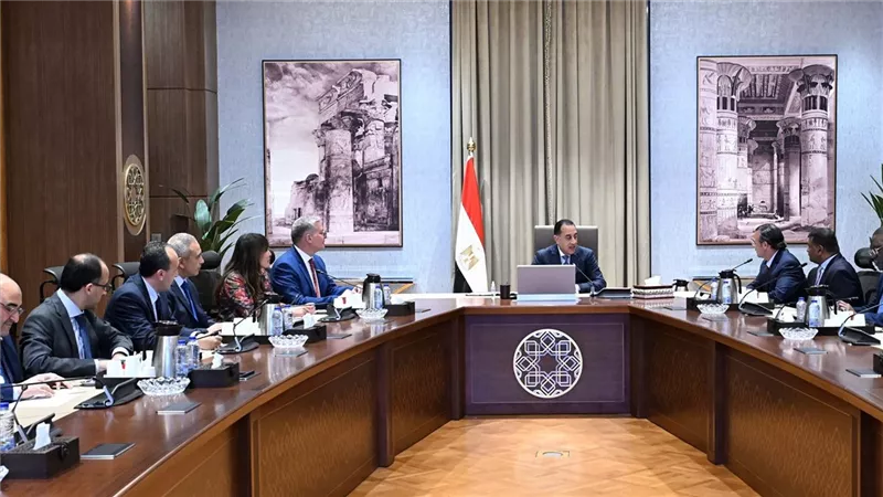 رئيس الوزراء يلتقي رئيس قسم الأصول الأساسية والبلدان الناشئة في شركة 