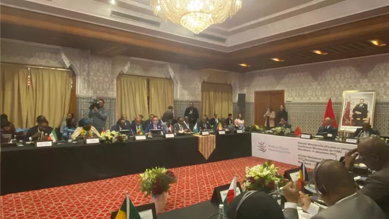 وزير الاستثمار يؤكد على تعزيز الحوار الإفريقي ودعم الأولويات التنموية للقارة 