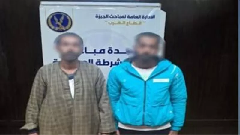 سقوط 