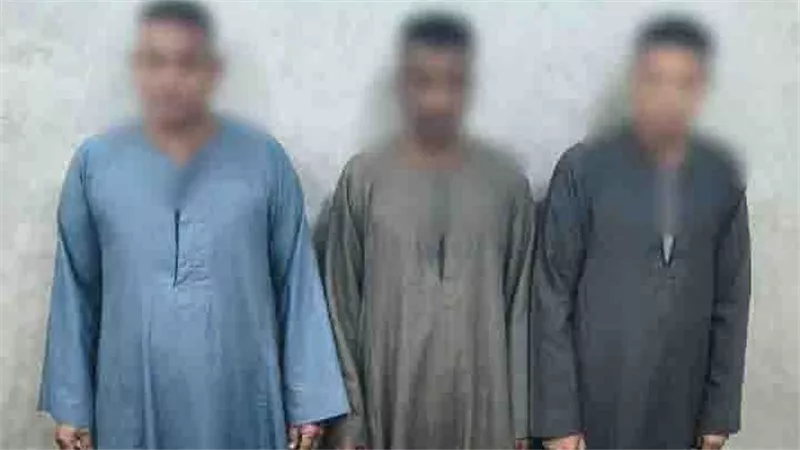 سقوط 3 أشخاص بحوزتهم كروت دعاية إنتخابية بمحيط إحدى اللجان الإنتخابية بأرمنت 