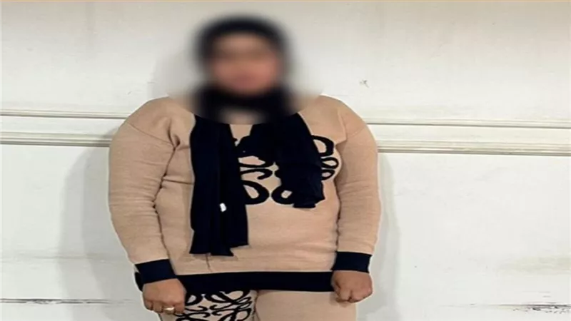  للتأثير على التصويت.. ضبط سيدة بحوزتها بطاقات شخصية وأموال بالأقصر 
