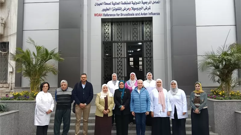 اعتماد بحوث الصحة الحيوانية.. جهة دولية مانحة لاختبارات الكفاءة المعملية