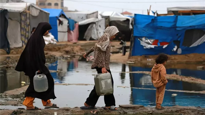 20 ألف خيمة تضررت في غزة.. «الهلال الأحمر» يحذر من تفاقم معاناة الأطفال