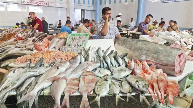 أسعار السمك اليوم..البلطي يبدأ من 30 جنيه والجمبري بـ 975 جنيه