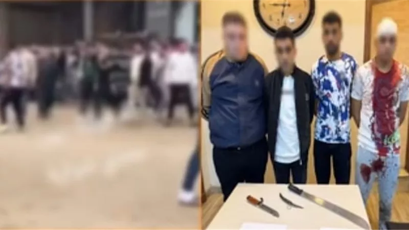 بسبب خلافات سابقة.. ضبط طرفي مشاجرة بالأسلحة البيضاء في الدقهلية