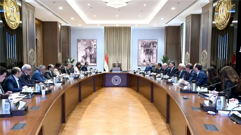 بدوي: التعاون بين الحكومة ومؤسسة 
