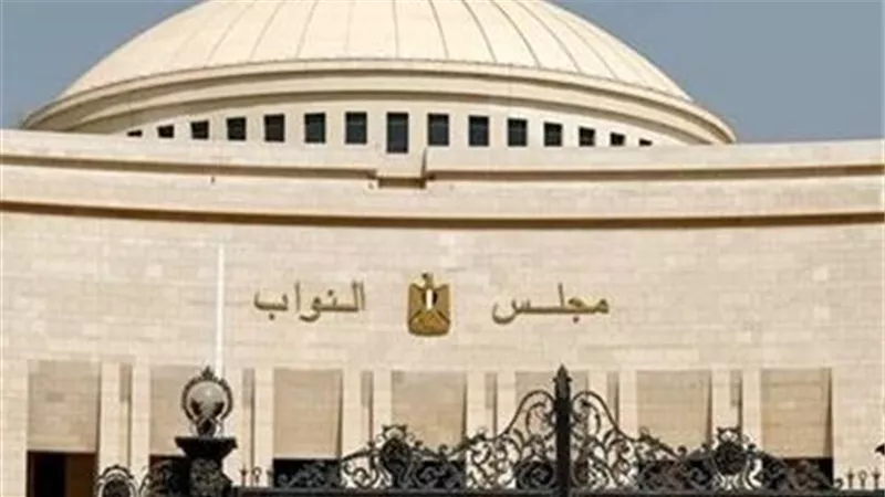 هيثم عمران: مشاركة المصريين بالخارج في جولة الإعادة رسالة دعم قوية للدولة  