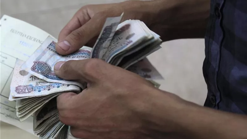هاني توفيق: متوسط دخل الموظف المصري 165 دولارًا شهريًا
