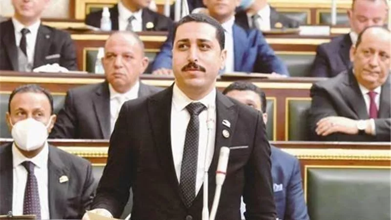 برلماني: 