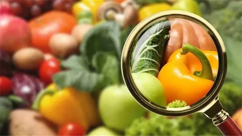 سلامة الغذاء: تصدير 275 ألف طن أغذية إلى 176 دولة خلال أسبوع  
