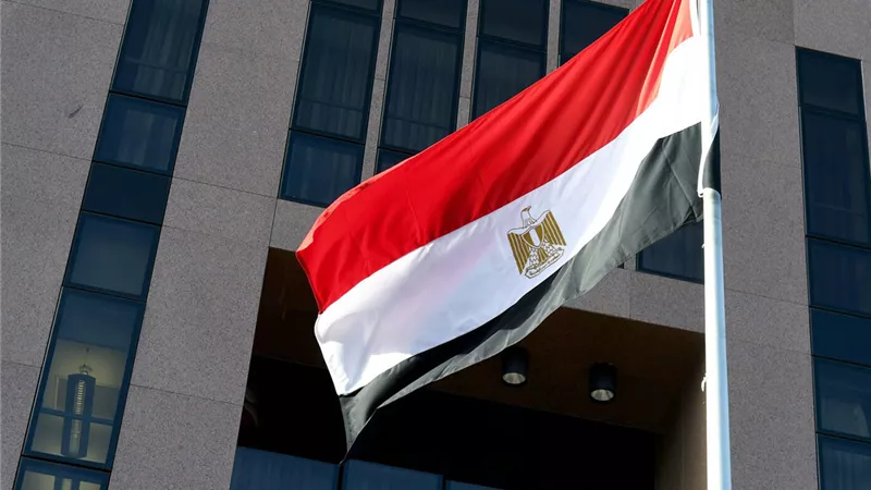 مصر تعلن تضامنها مع الجزائر بعد حرائق الغابات وتعزي أسر الضحايا