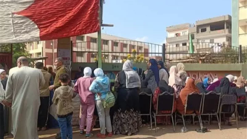انتخابات مجلس النواب.. توافد الناخبين أمام اللجان بالمنوفية للإدلاء بأصواتهم