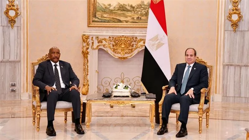 بعد استقبال السيسي للبرهان.. شردي: مصر لن تسمح بالمساس بوحدة الأراضي السودانية