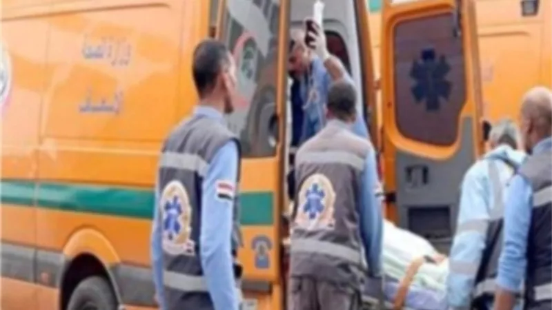 بسبب خلافات علي ثمن تليفون محمول مقتل شاب علي يد صديقه بالبحيرة