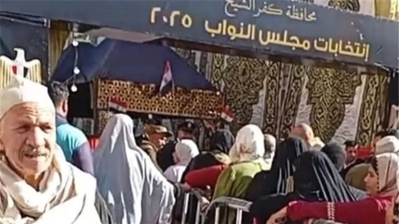 المؤشرات الأولية لجولة الإعادة بكفر الشيخ: محمد خليفة يتصدر فرز 100 لجنة بقلين