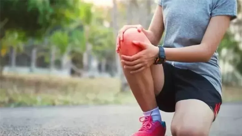 البستنة تحمي الركبتين.. دراسة جديدة تظهر فوائدها لكبار السن