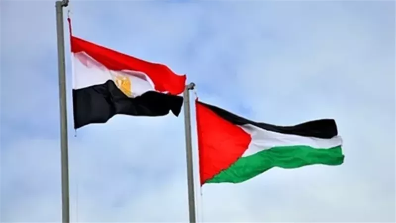أستاذ علوم سياسية: مصر مستمرة في الدفاع عن حقوق الفلسطينيين ووقف العدوان 