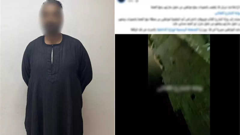 خلافات جيرة.. ضبط عامل اعترض طريق مهندس ومنعه من الوصول لمنزله في قنا