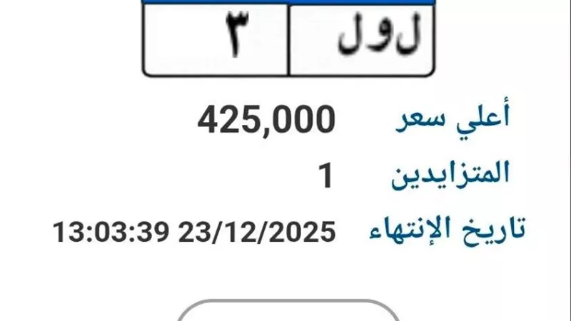 مزاد على لوحة معدنية مميزة «ل و ل 3» بسعر يقترب من نصف مليون جنيه| تفاصيل