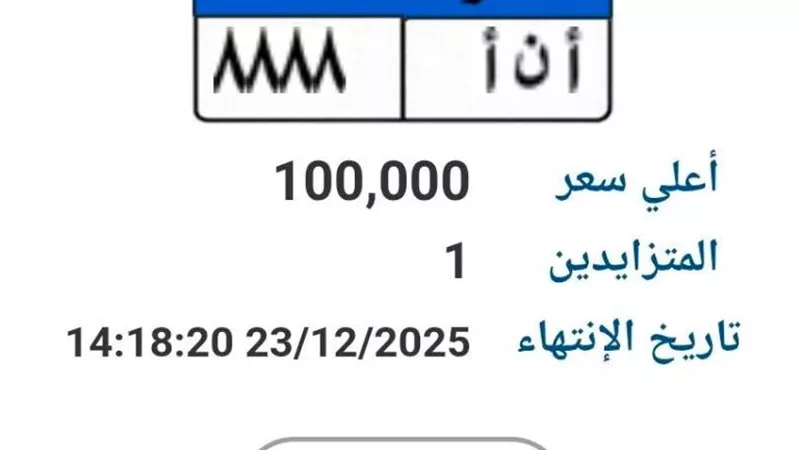 مزاد على لوحة معدنية مميزة «أ ن أ 888» بسعر يصل إلى 100 ألف جنيه 