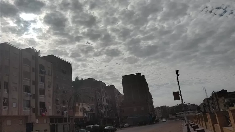البسو الشتوي.. الأرصاد تحذر من شبورة صباحا وبرودة ليلا في السويس