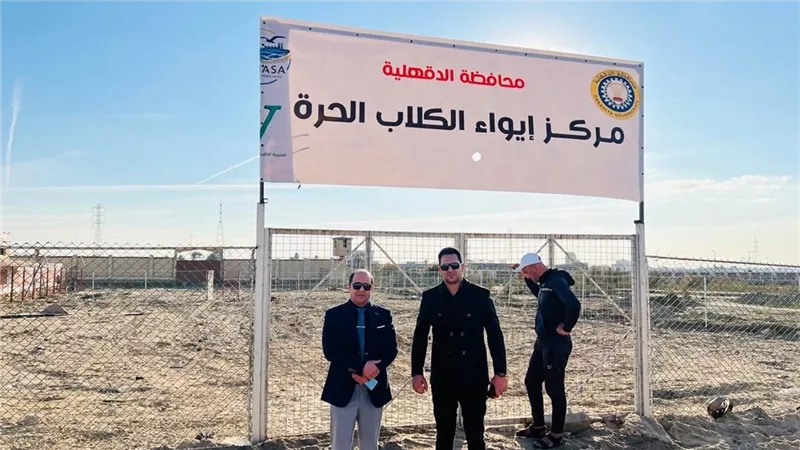 محافظة الدقهلية توفر مكانا لإيواء الكلاب الحرة وإطعامها بجمصة